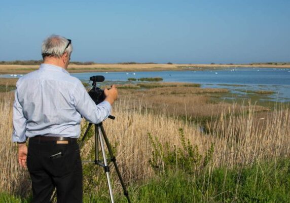 birdwatching